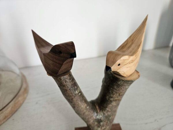 Oiseaux en olivier et noyer sur une branche – Image 2