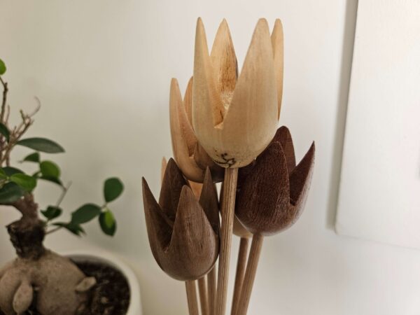 Tulipes tournées en différentes essences de bois – Image 3