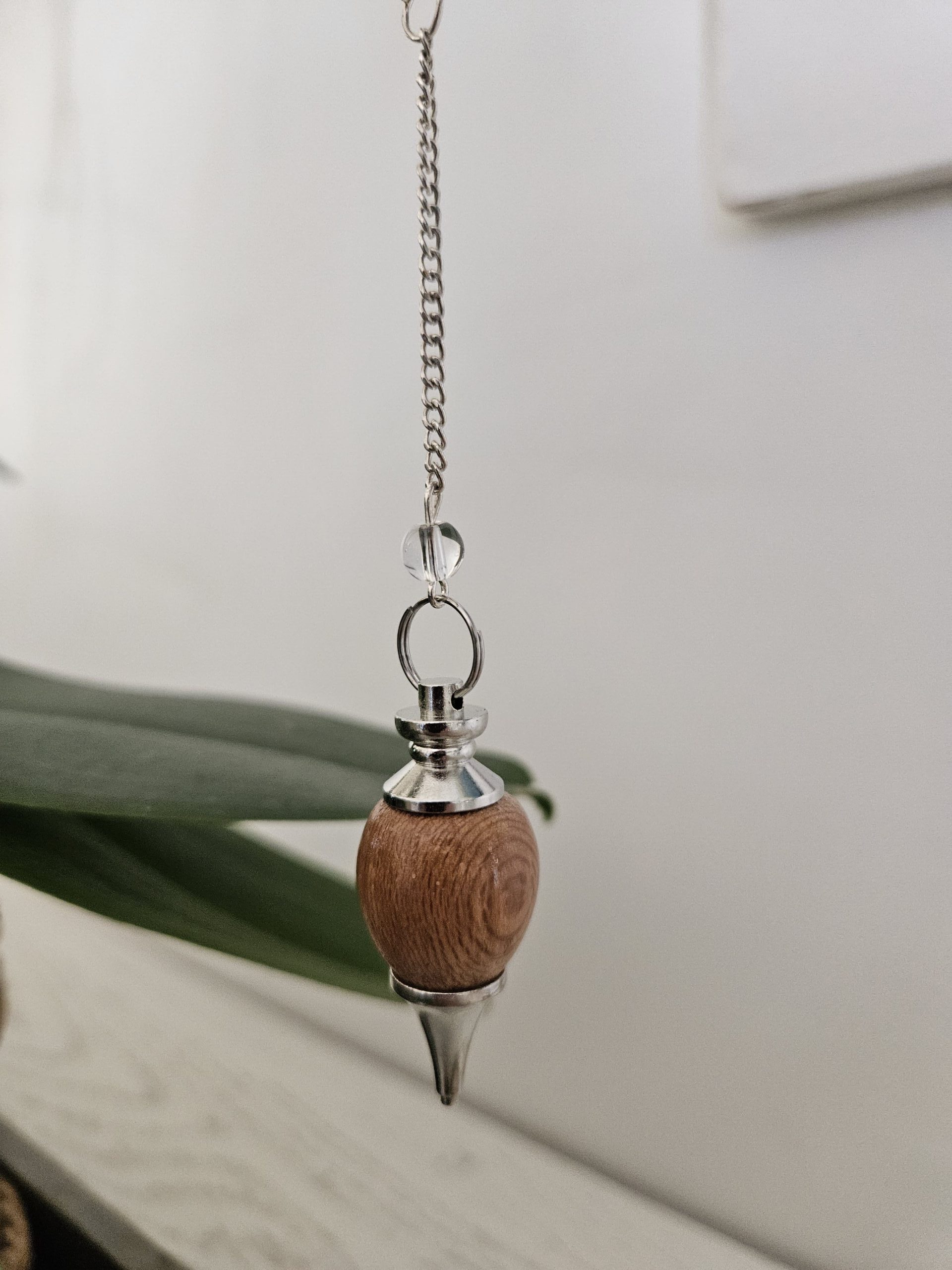 pendule en bois de platane