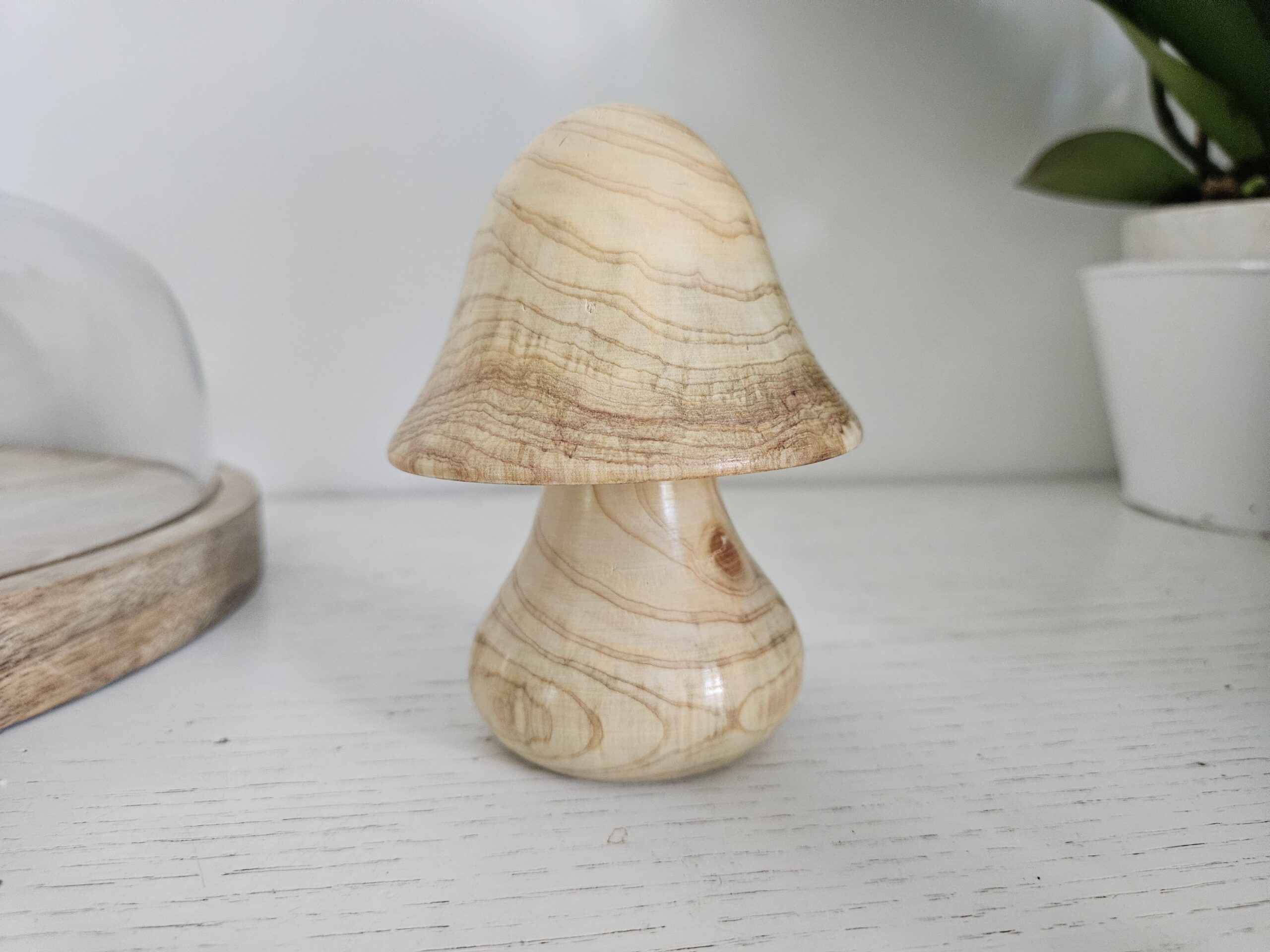 Champignons décoratifs en bois divers – Image 6
