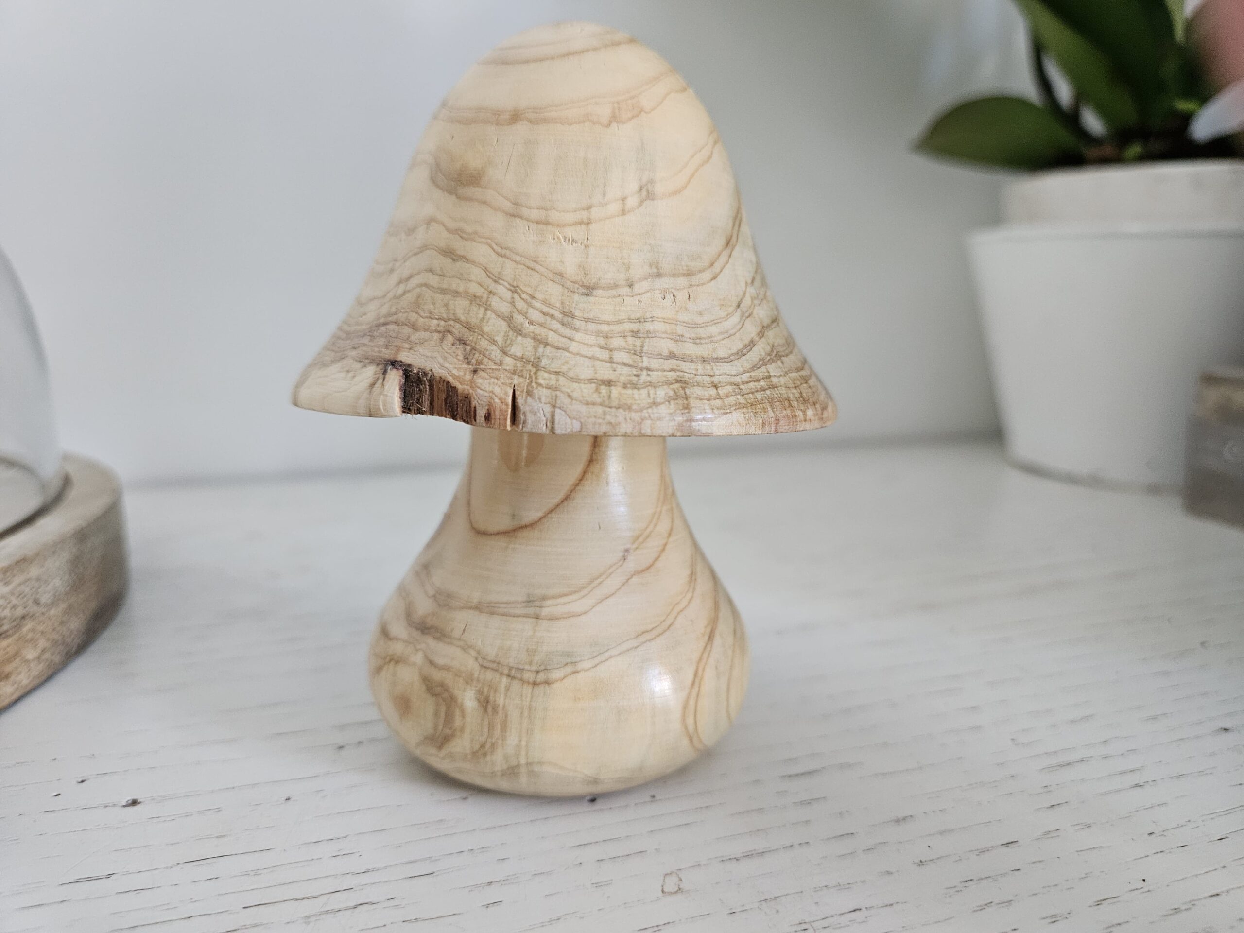 Champignons décoratifs en bois divers – Image 5