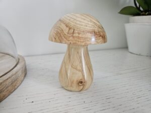 Champignons