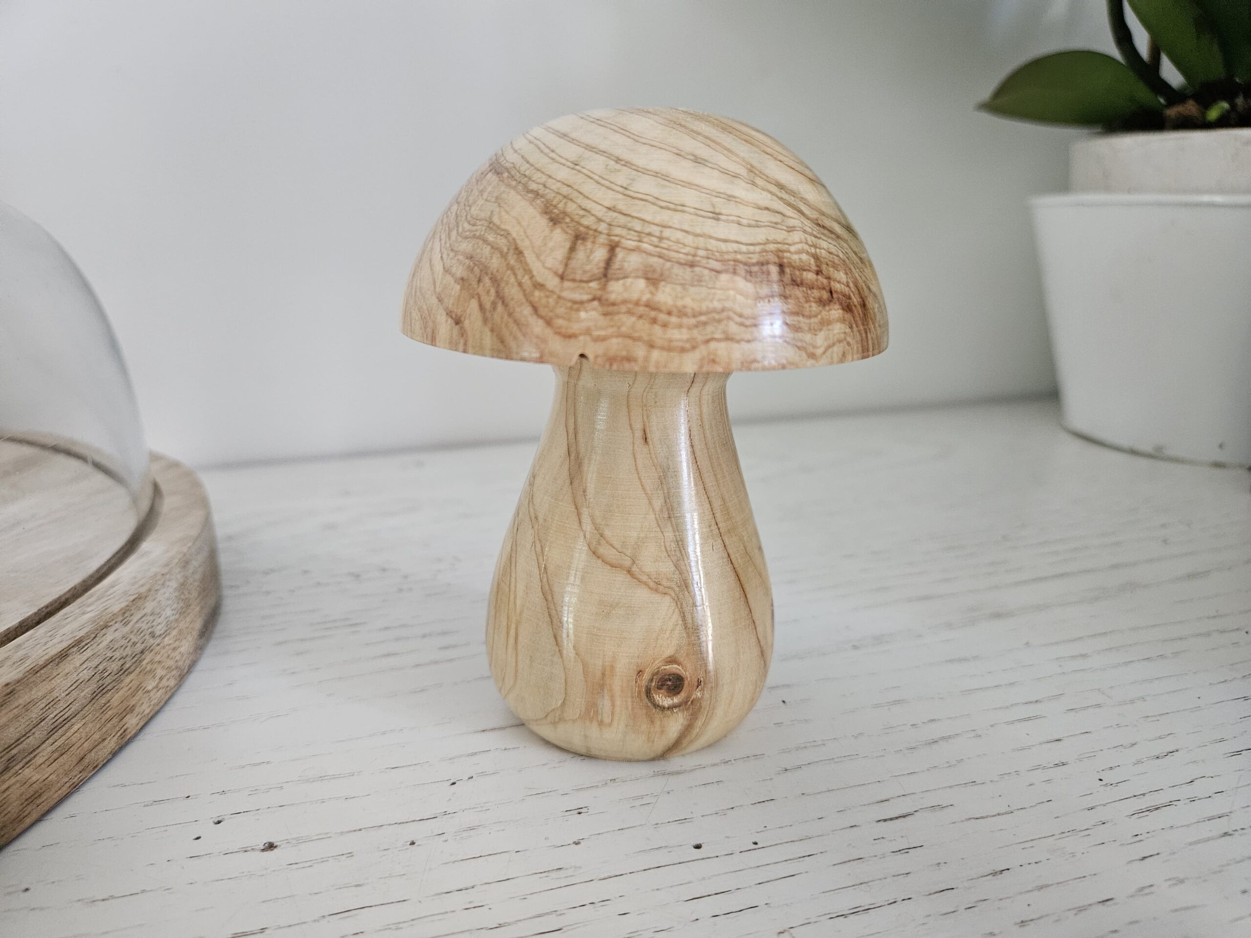 Champignons