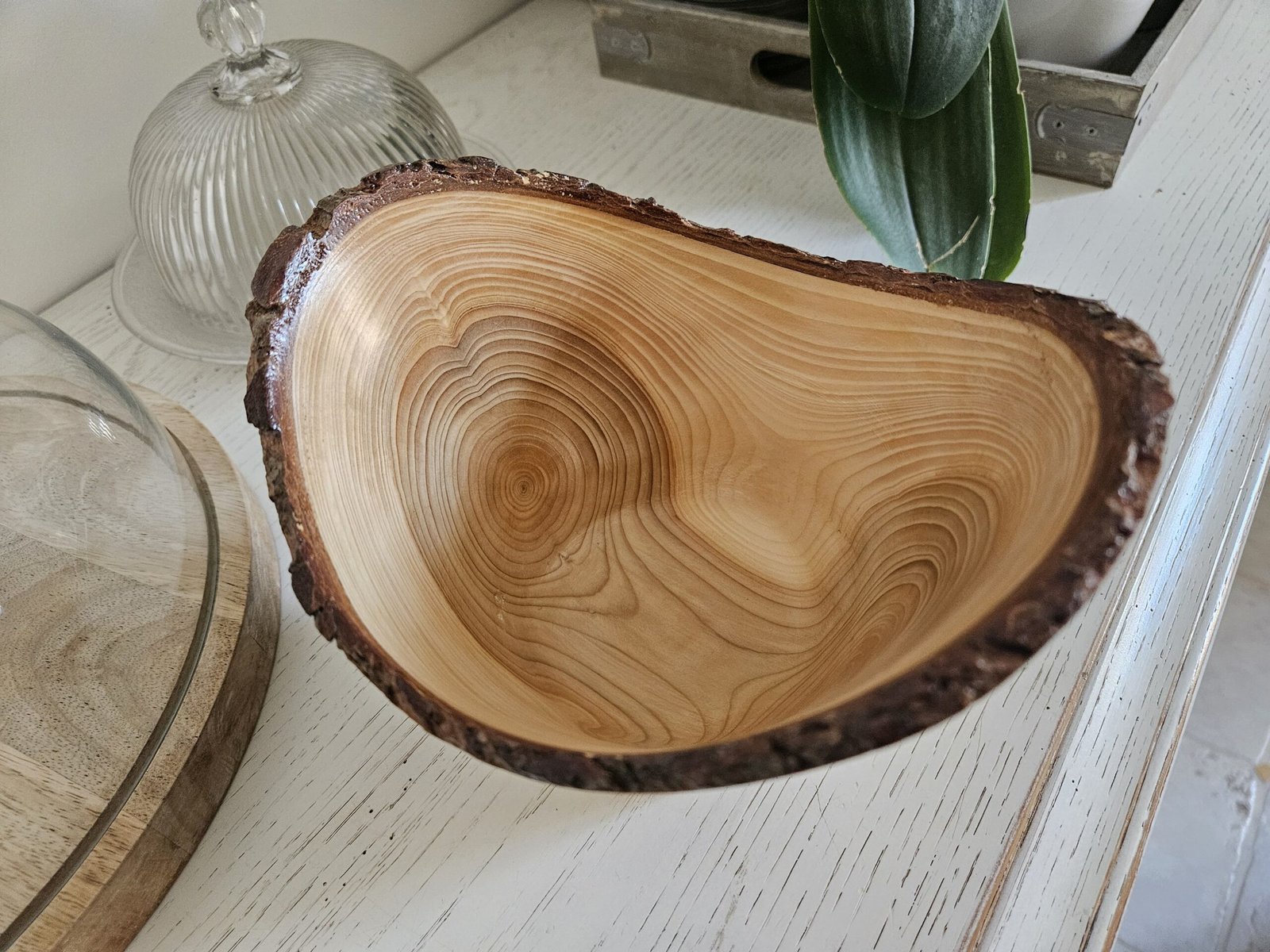Coupe artisanal en bois de cèdre – bord naturel – Image 3