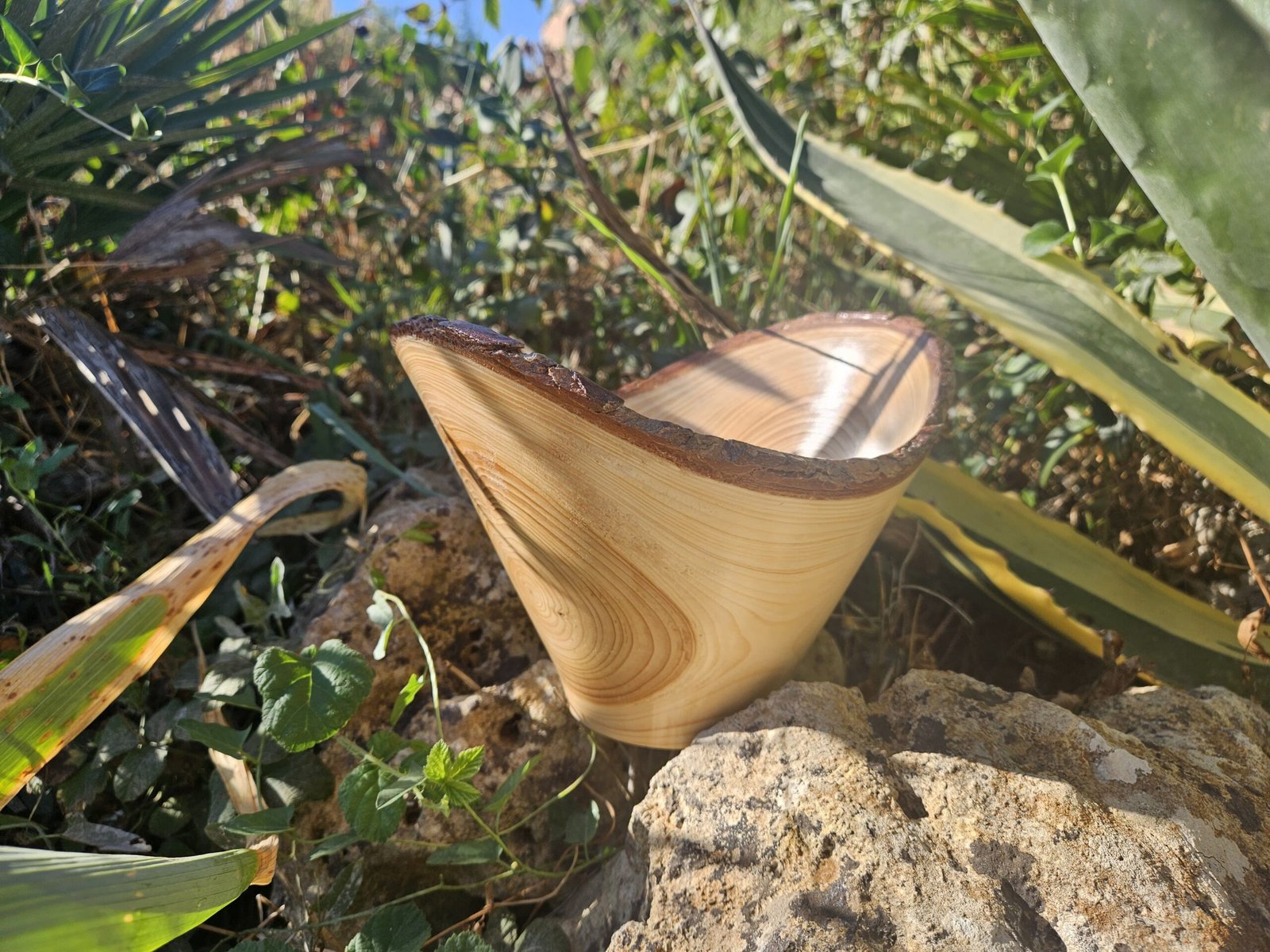 Coupe artisanal en bois de cèdre – bord naturel – Image 2